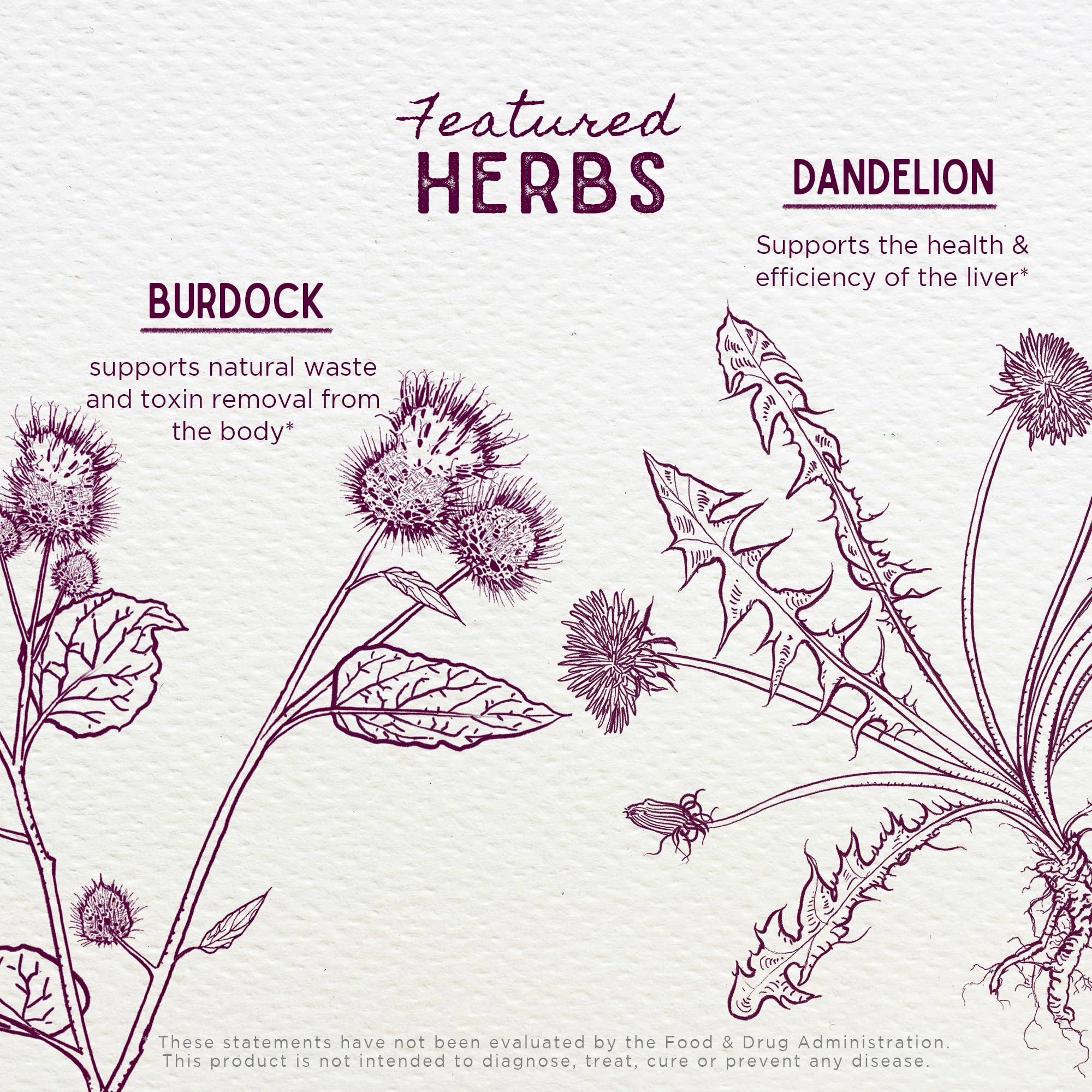 WishGarden Japanese raisin seed shown as enzyme friendly ingredient for next-day routines