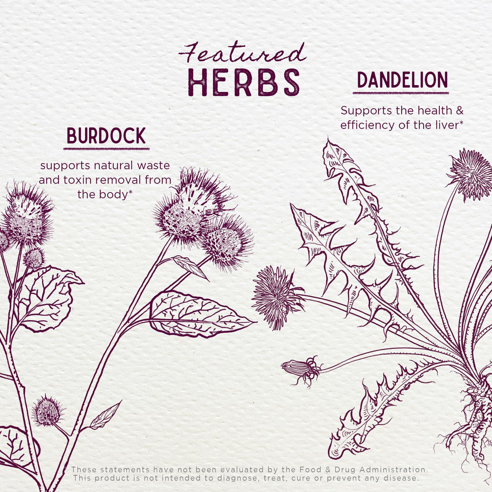 WishGarden Japanese raisin seed shown as enzyme friendly ingredient for next-day routines