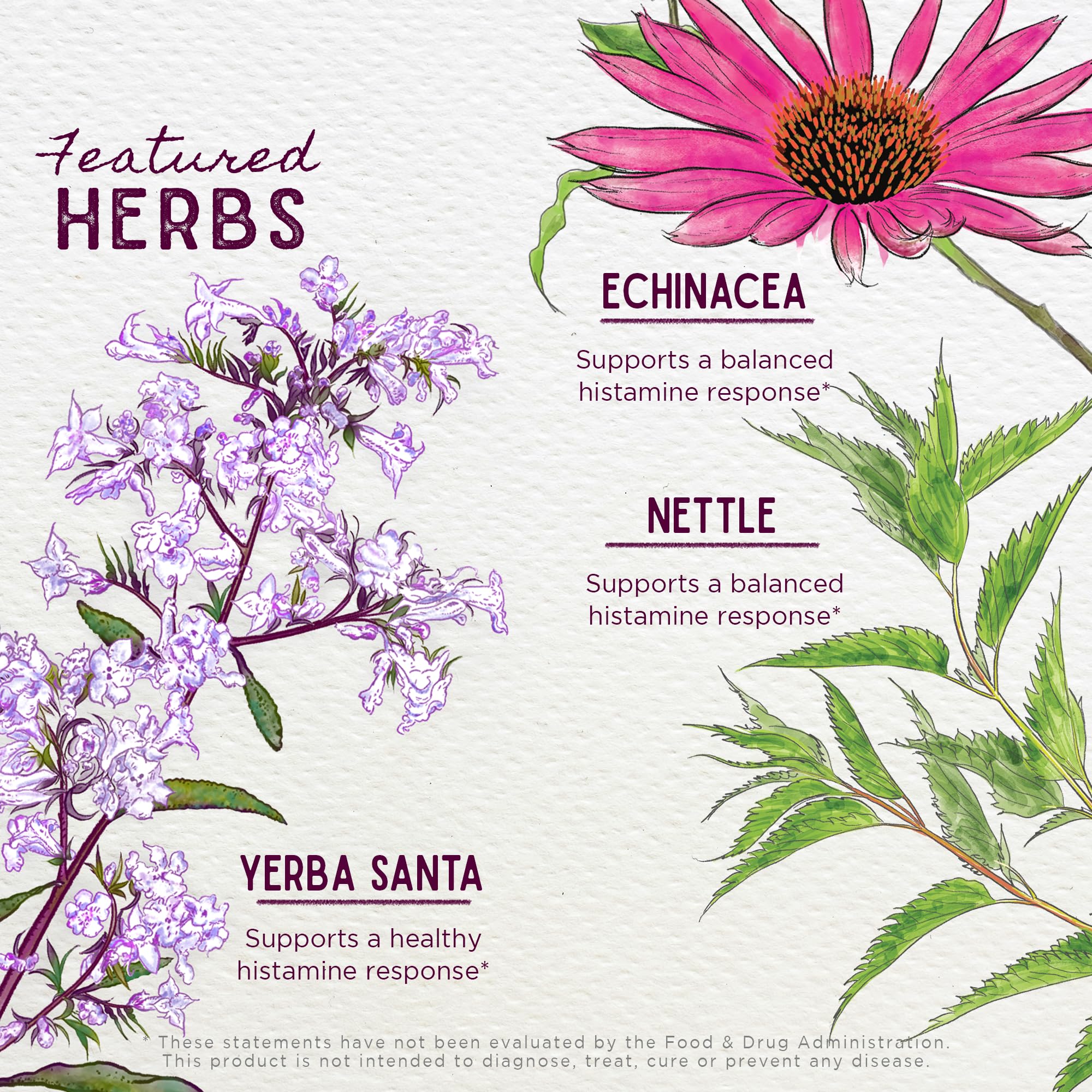 WishGarden Kick-Ass Allergy for Pregnancy packaging highlights sustainability and ethos.