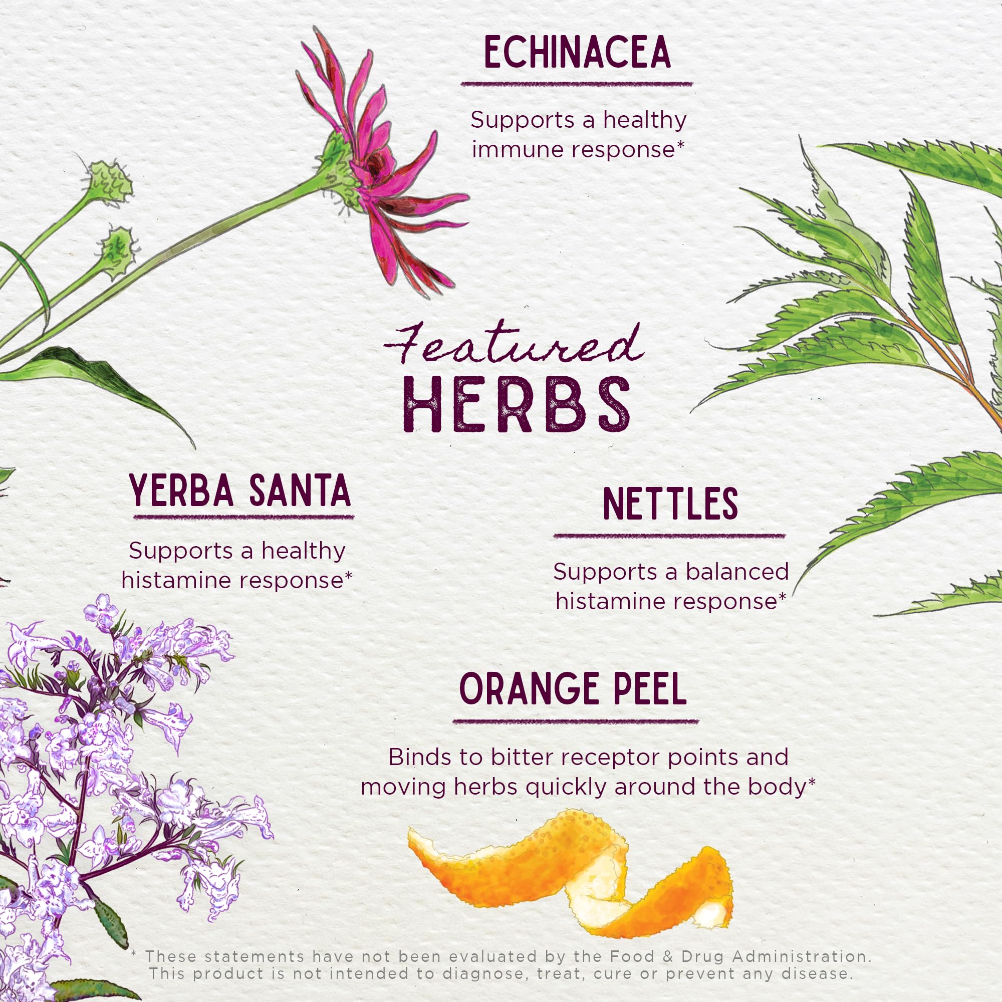 WishGarden Kick-Ass Allergy & Sinus organic ingredients label highlighting non-GMO and vegan.