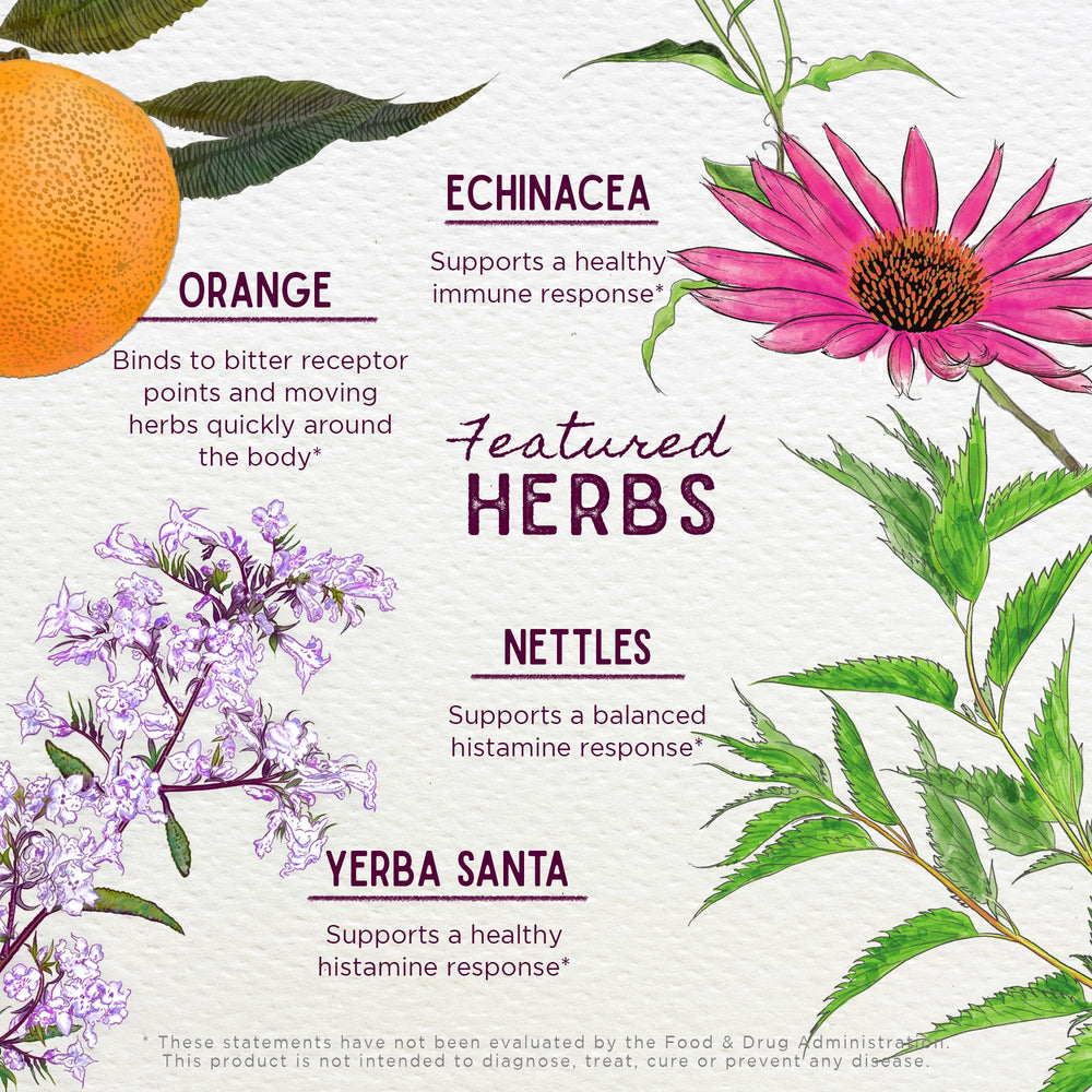 WishGarden Kick-Ass Allergy yerba santa leaf detail showcases natural plant blend.