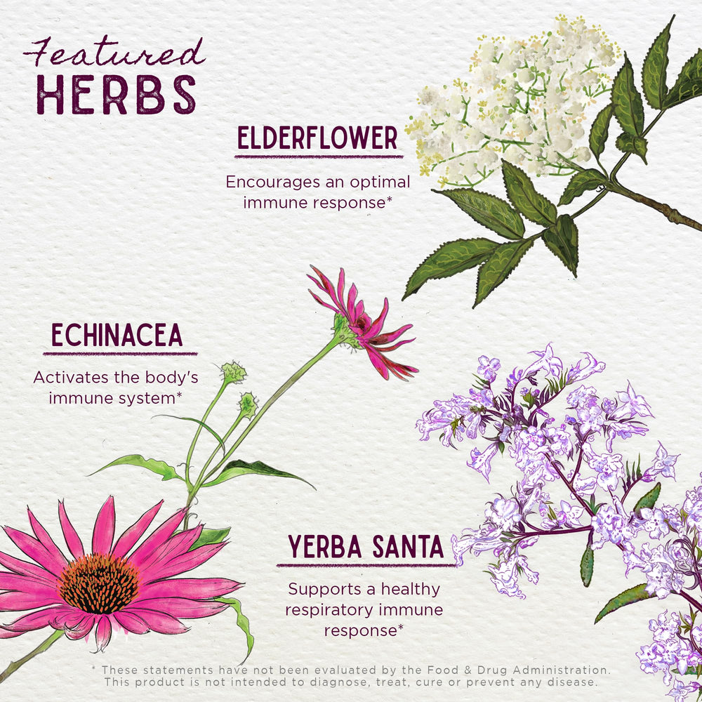 WishGarden Kick-Ass Immune Activator ingredients with Echinacea and Goldenseal