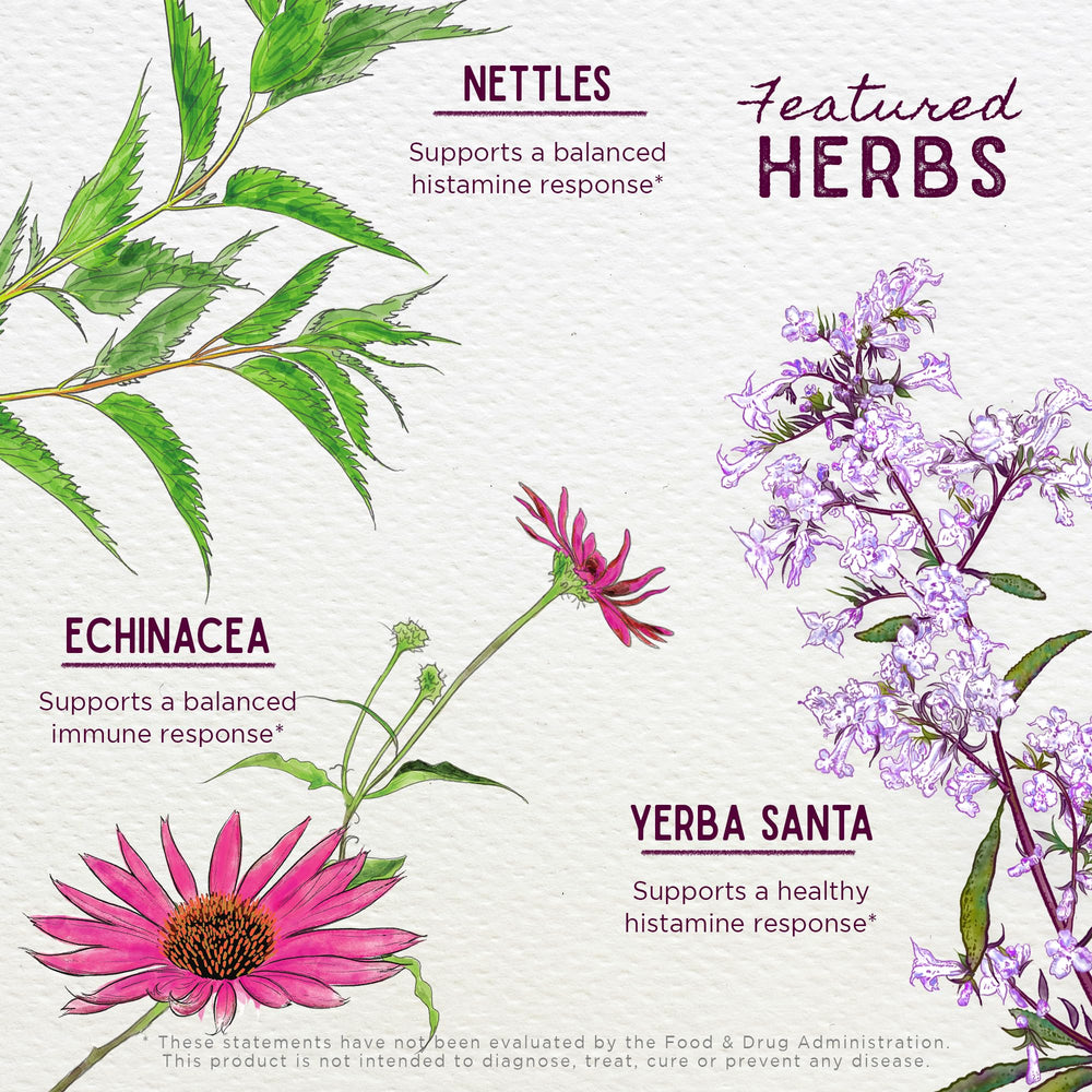 WishGarden Kick-It Allergy for Kids ingredients list highlights natural herbs.