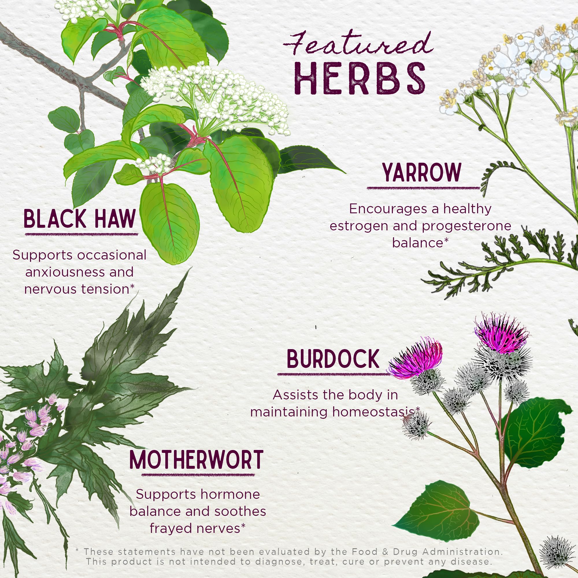 WishGarden ReBalance organic ingredients close-up emphasizes non-GMO vegan formulation.