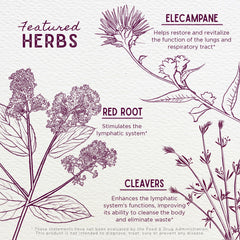 WishGarden Elecampane Root detail highlighting herbal resilience