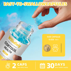Two-pack display of Wllbdloig cortisol gummies for daily use