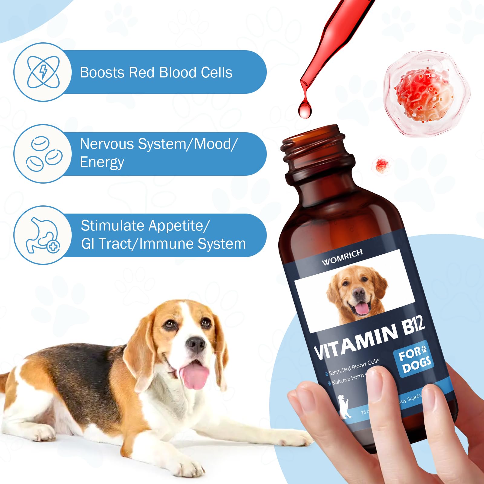 WOMRICH B12 dog nervous system liquid near label highlights cognitive function.