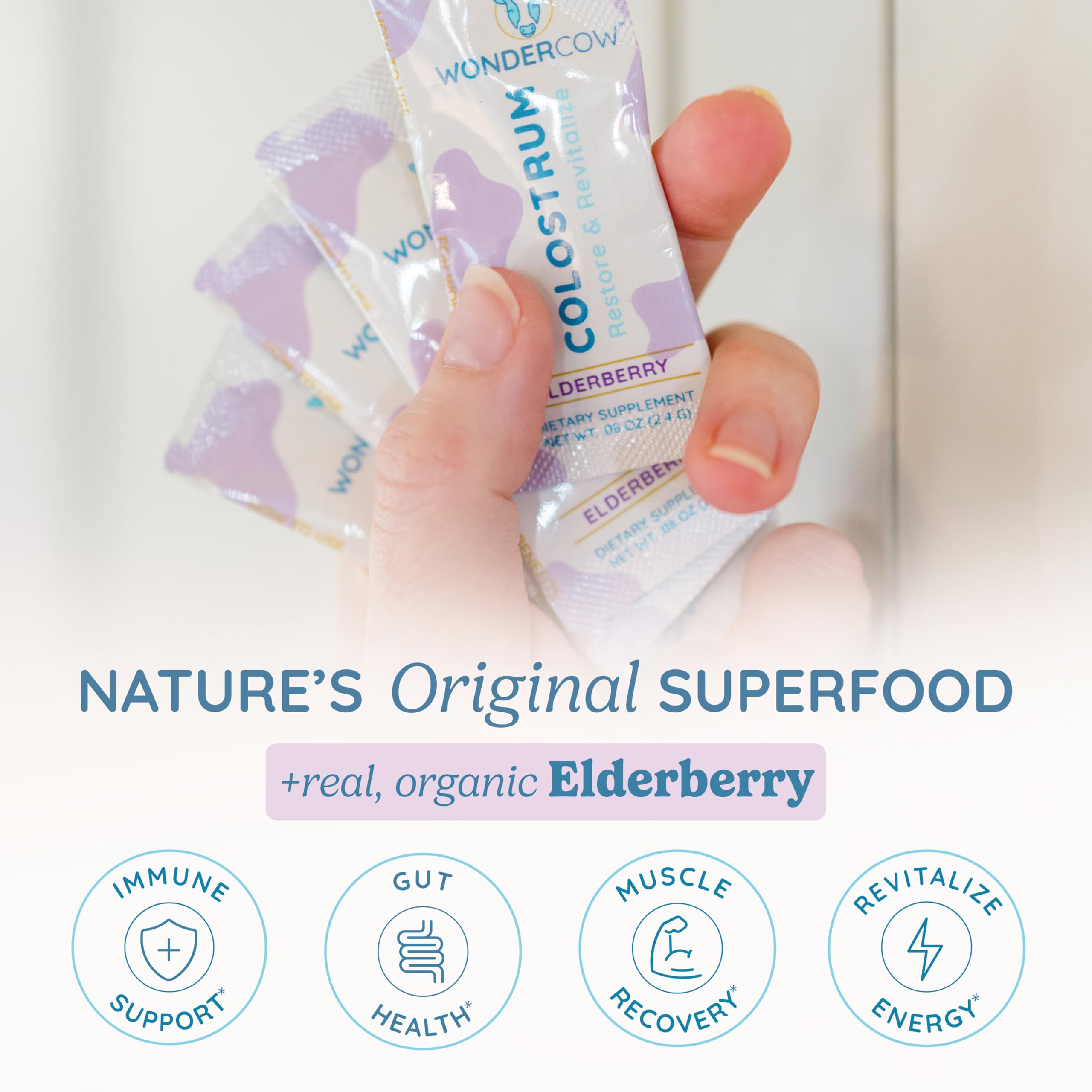 Dissolving WonderCow colostrum sachet in water for a smooth mix