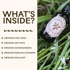 Ingredients list for Wooden Spoon Herbs Tranquility Tonic with skullcap and lavender.