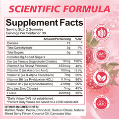 Wordln Iron Gummies vegan, sugar-free packaging shows a plant-based option.