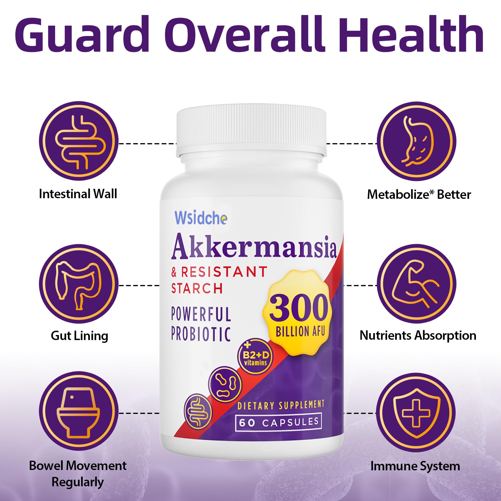 Wsidche fiber digestion support with Akkermansia.