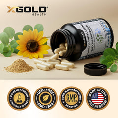 X Gold Health quality seal signals strict manufacturing standards.