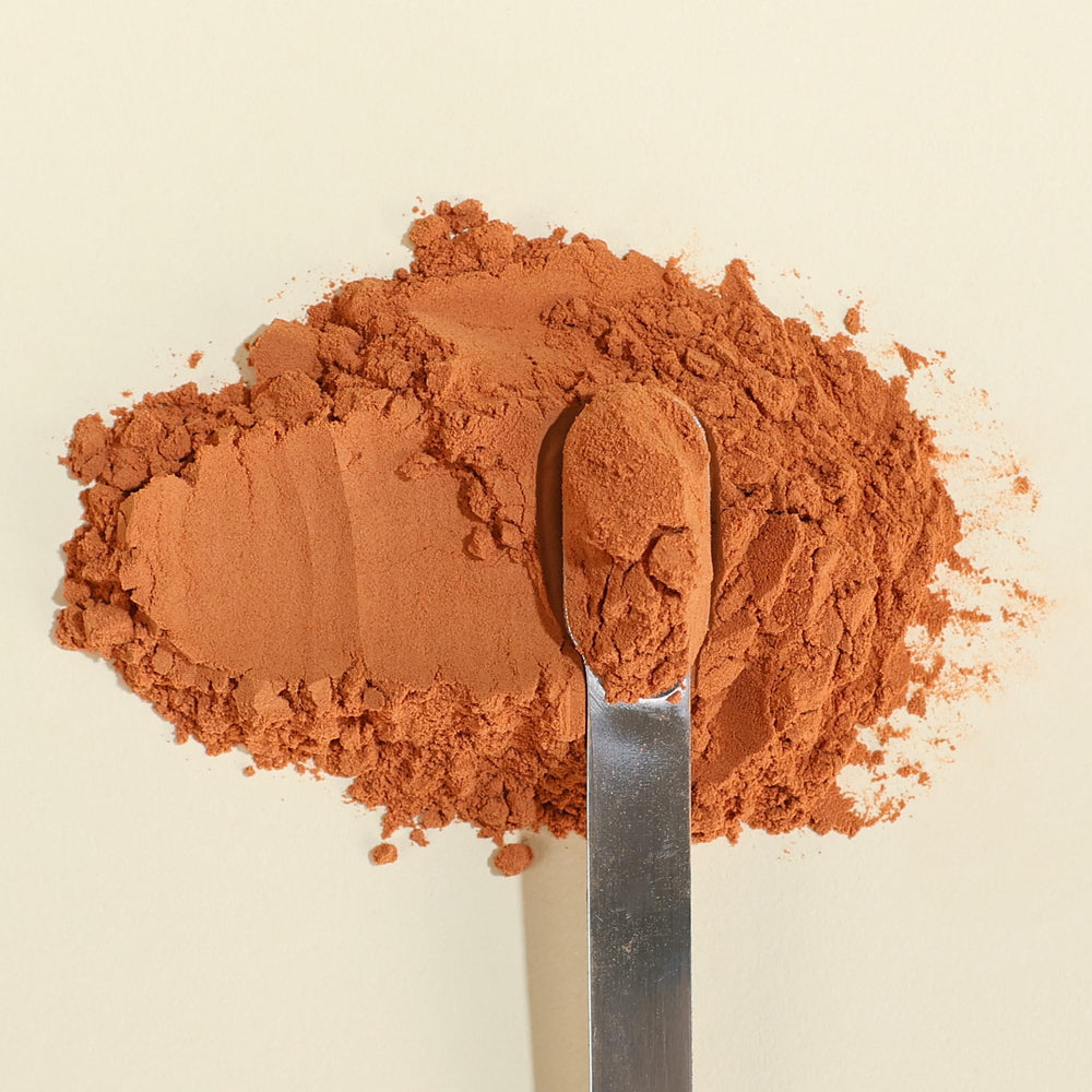 Xalya packaging and powder display on shelf for bulk value