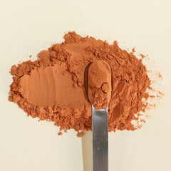 Xalya packaging and powder display on shelf for bulk value