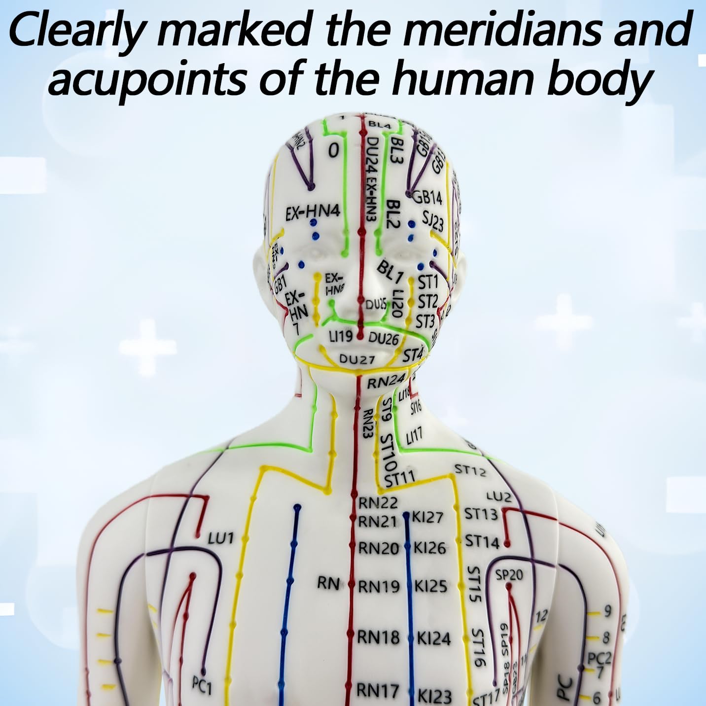 XDKHAEA extra-meridian points on the acupuncture doll for comprehensive study.