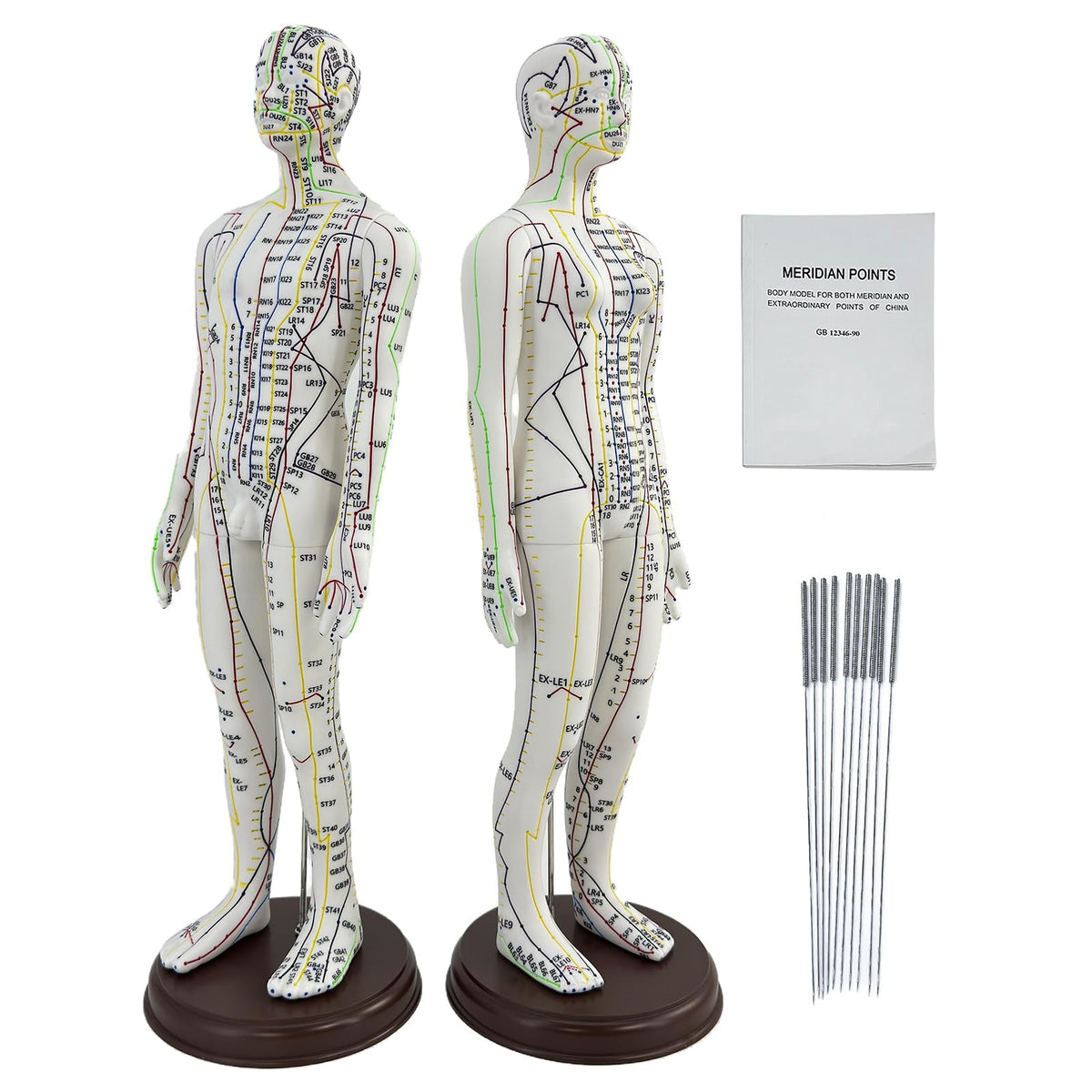 XDKHAEA acupuncture doll male 1/3 scale with clear point labels for study.