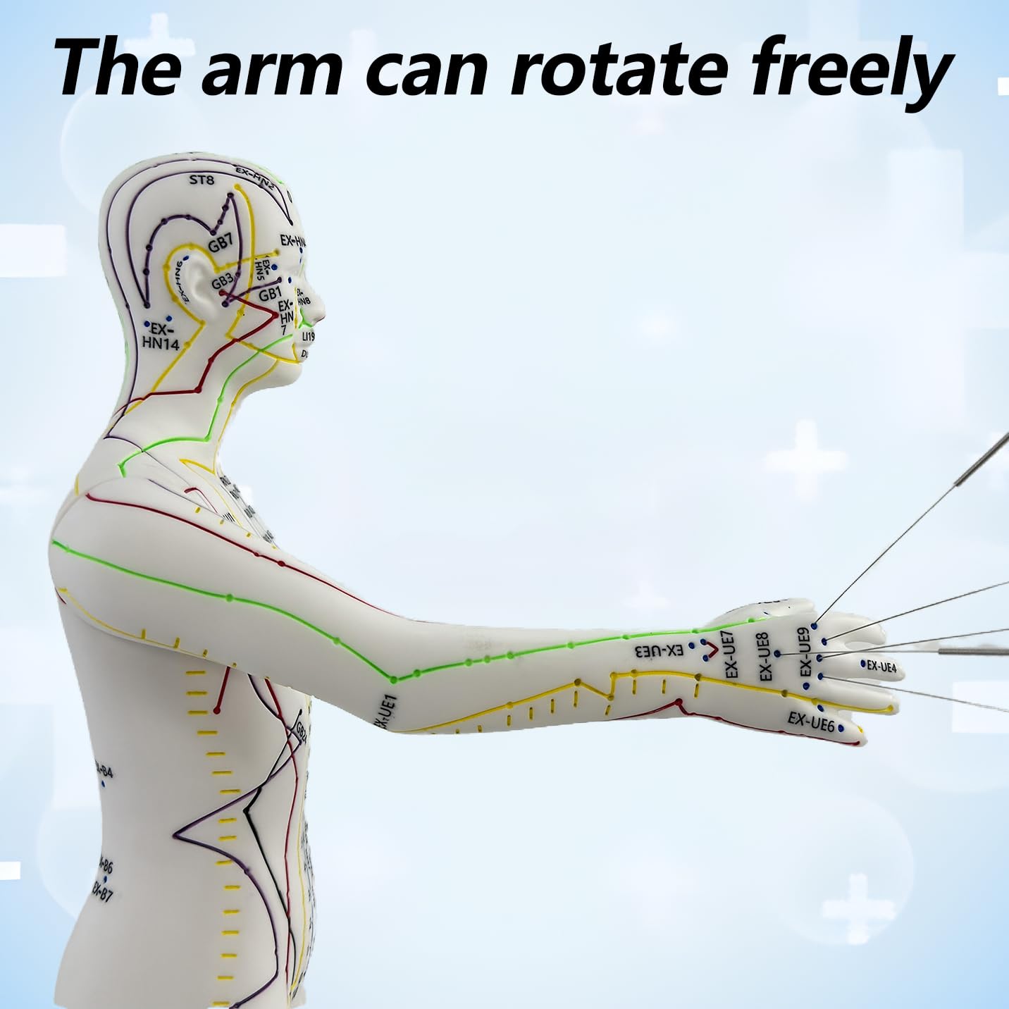 XDKHAEA meridian points labeling on the acupuncture doll for learning.