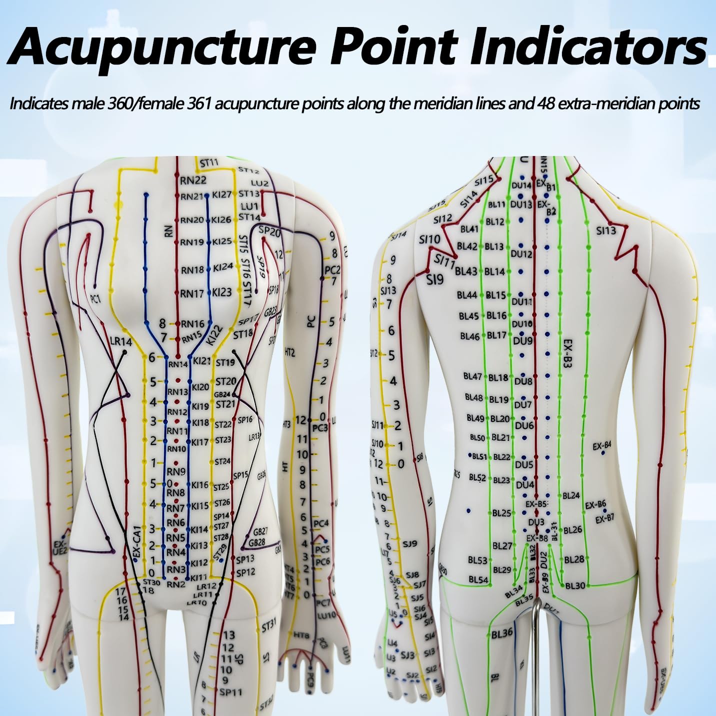 XDKHAEA practice needles with the acupuncture doll for hands-on techniques.