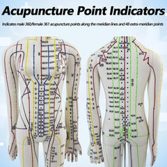XDKHAEA practice needles with the acupuncture doll for hands-on techniques.