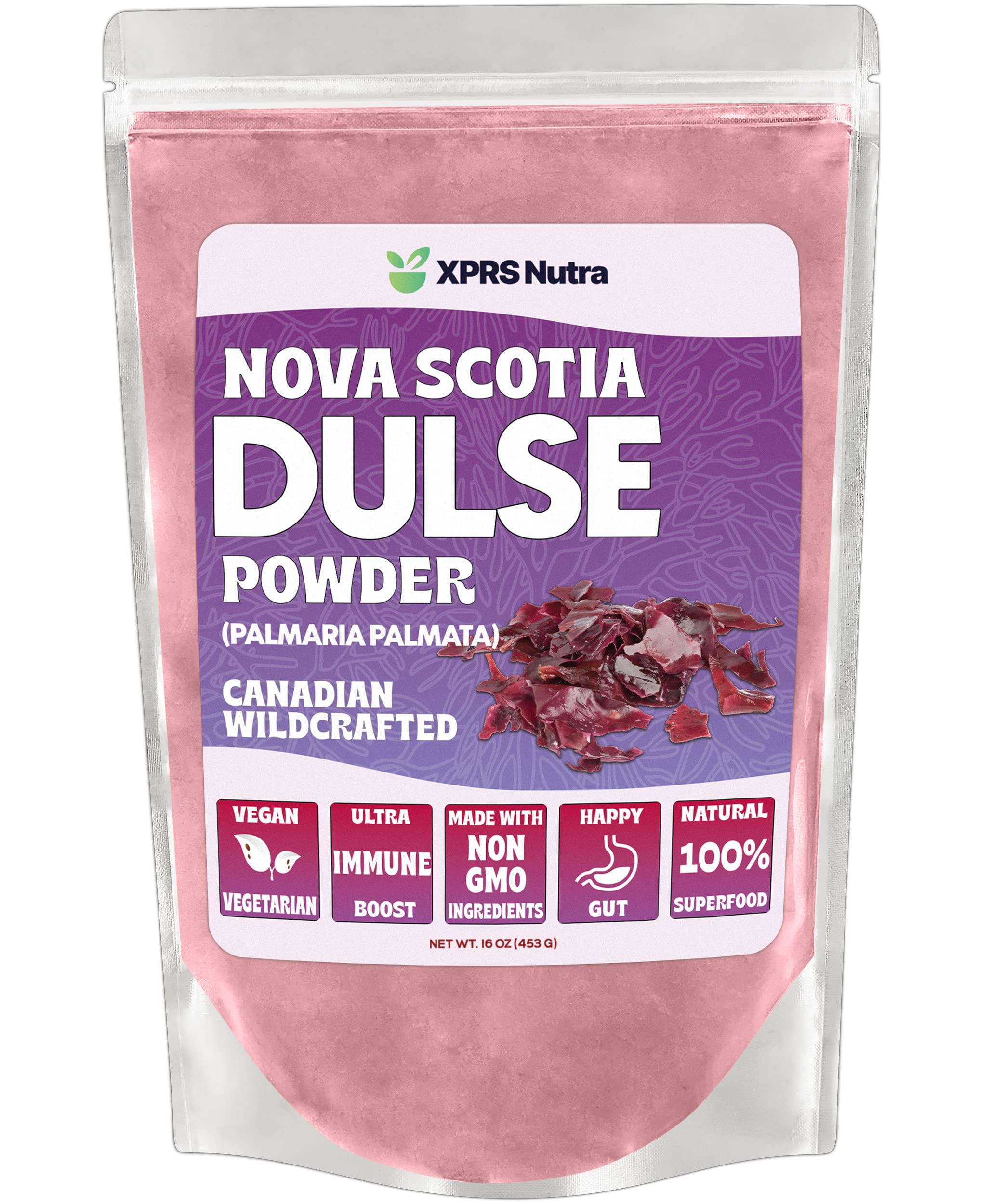 XPRS Nutra Dulse Powder on a spoon showcases natural iodine and minerals for daily meals