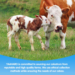 YAAHARO sugar-free formula label with no added sugars