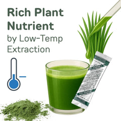 Yamakan Young Barley Grass Powder glass with greens suggests antioxidant support for daily calm.