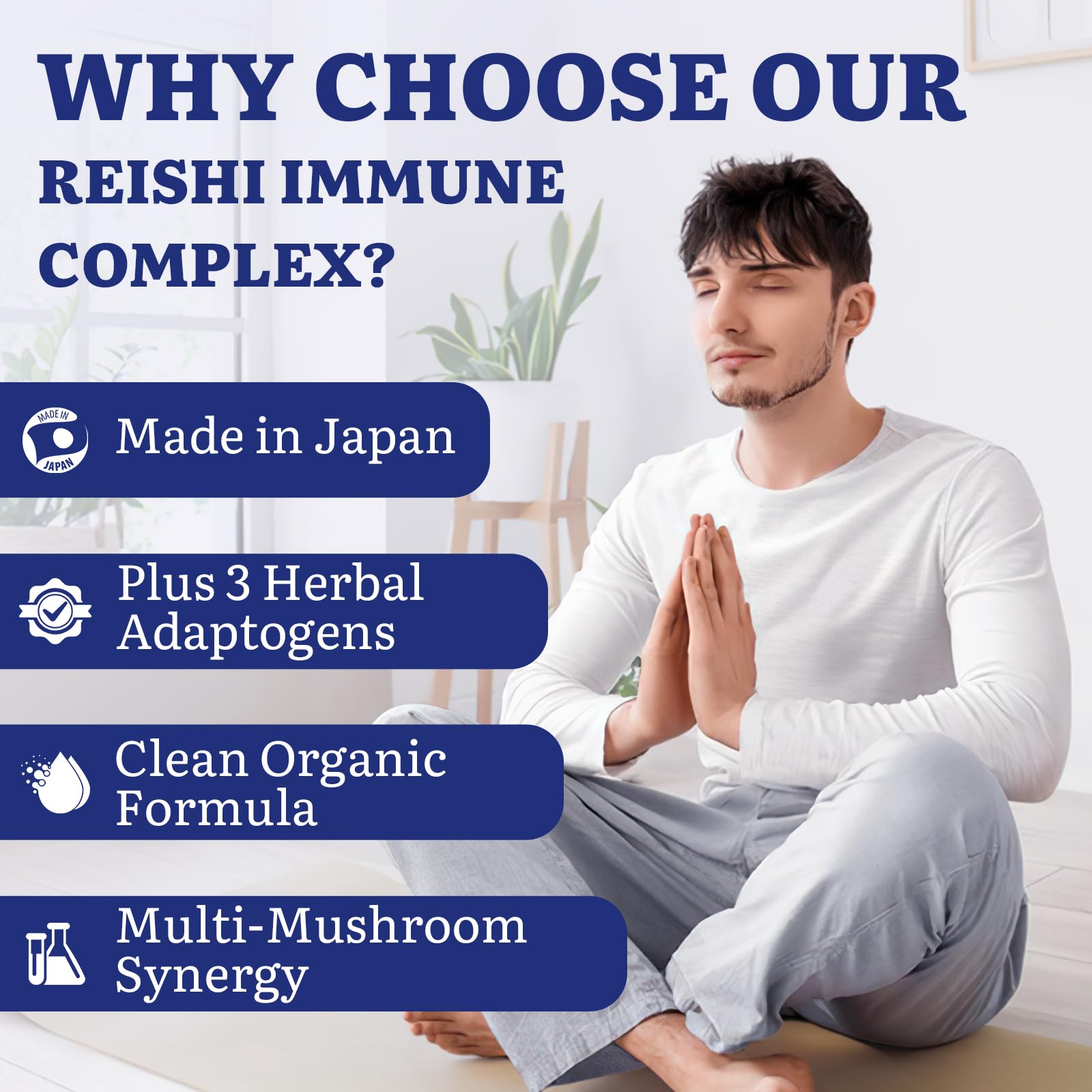 Yasumako herbal blend with Astragalus, Ginseng, Schisandra for adaptive support.