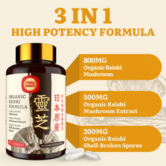 Yasumako shell-broken spores 200mg capsules closeup emphasize premium form.