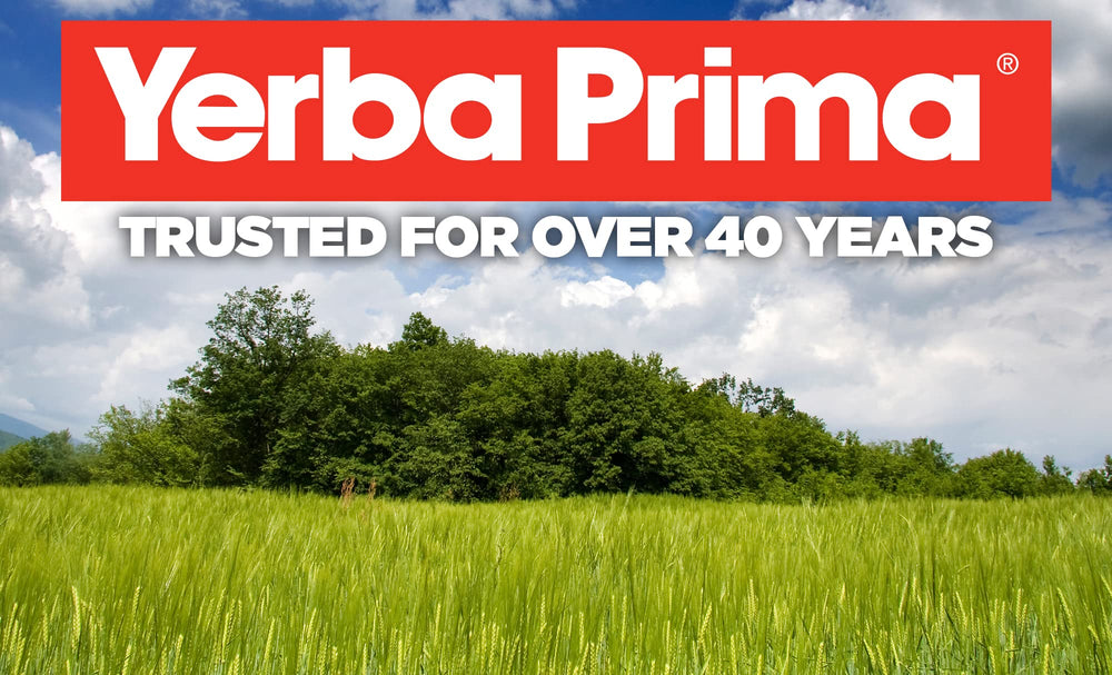 Yerba Prima Bilberry Bioperine absorption boost close-up illustrating enhanced bioavailability.