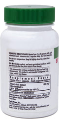 Yerba Prima Bilberry eye-health close-up supporting comfort during long screen time.