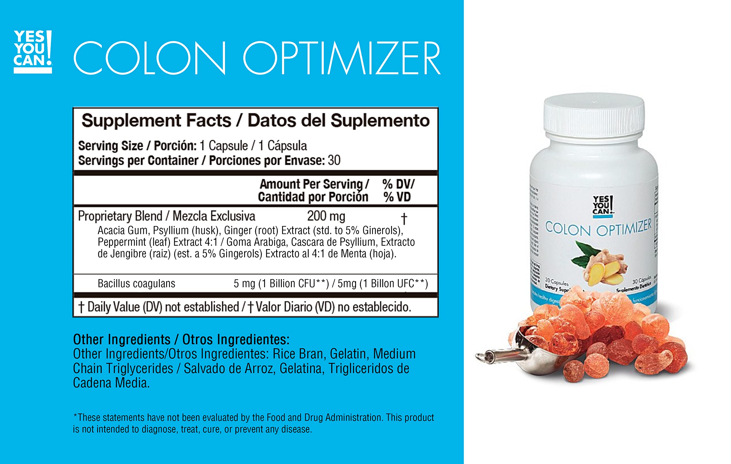 Yes You Can! Transform supplements bottles show Slim Down and Appetite Support for daily balance.