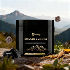 Yldegt Shilajit Gummies bottle for daily vitality and focus.