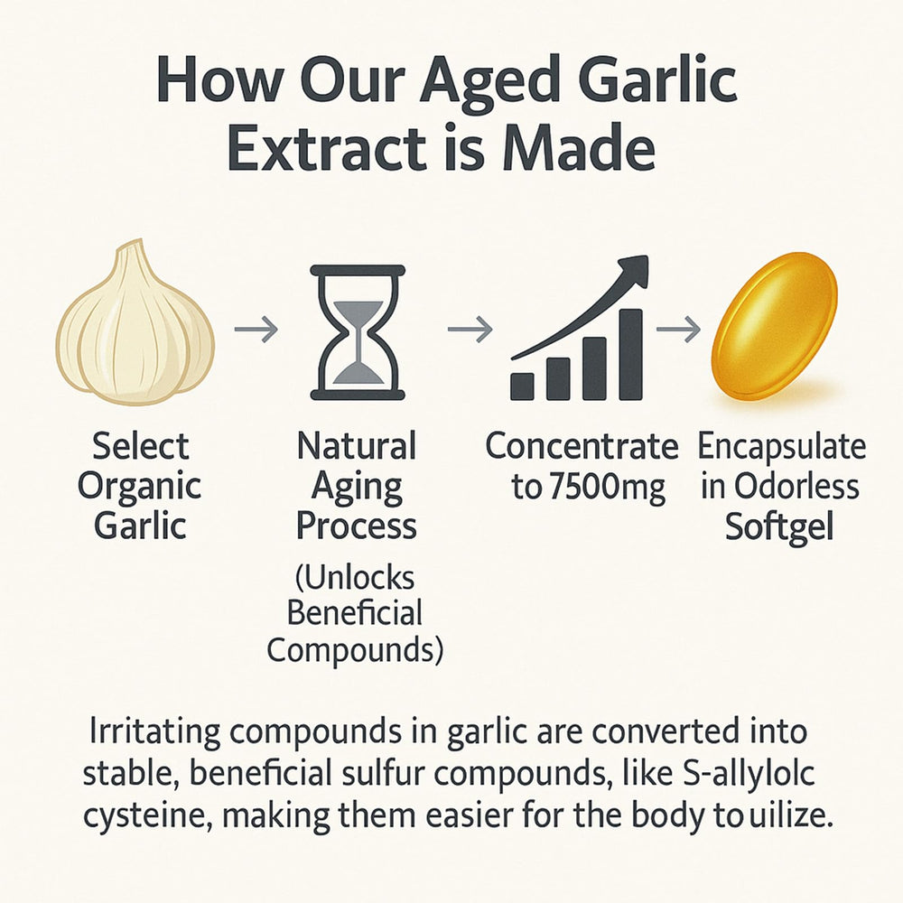 YLOTRE Elare organic garlic bulbs image emphasizing pure organic ingredients.