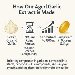 YLOTRE Elare organic garlic bulbs image emphasizing pure organic ingredients.