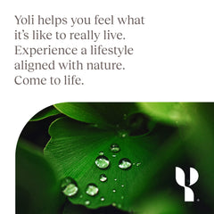 Yoli Enzyme daily routine visual promoting consistent gut health habits