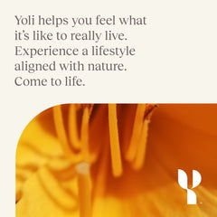 Yoli Pure capsules aimed at supporting digestive system health.