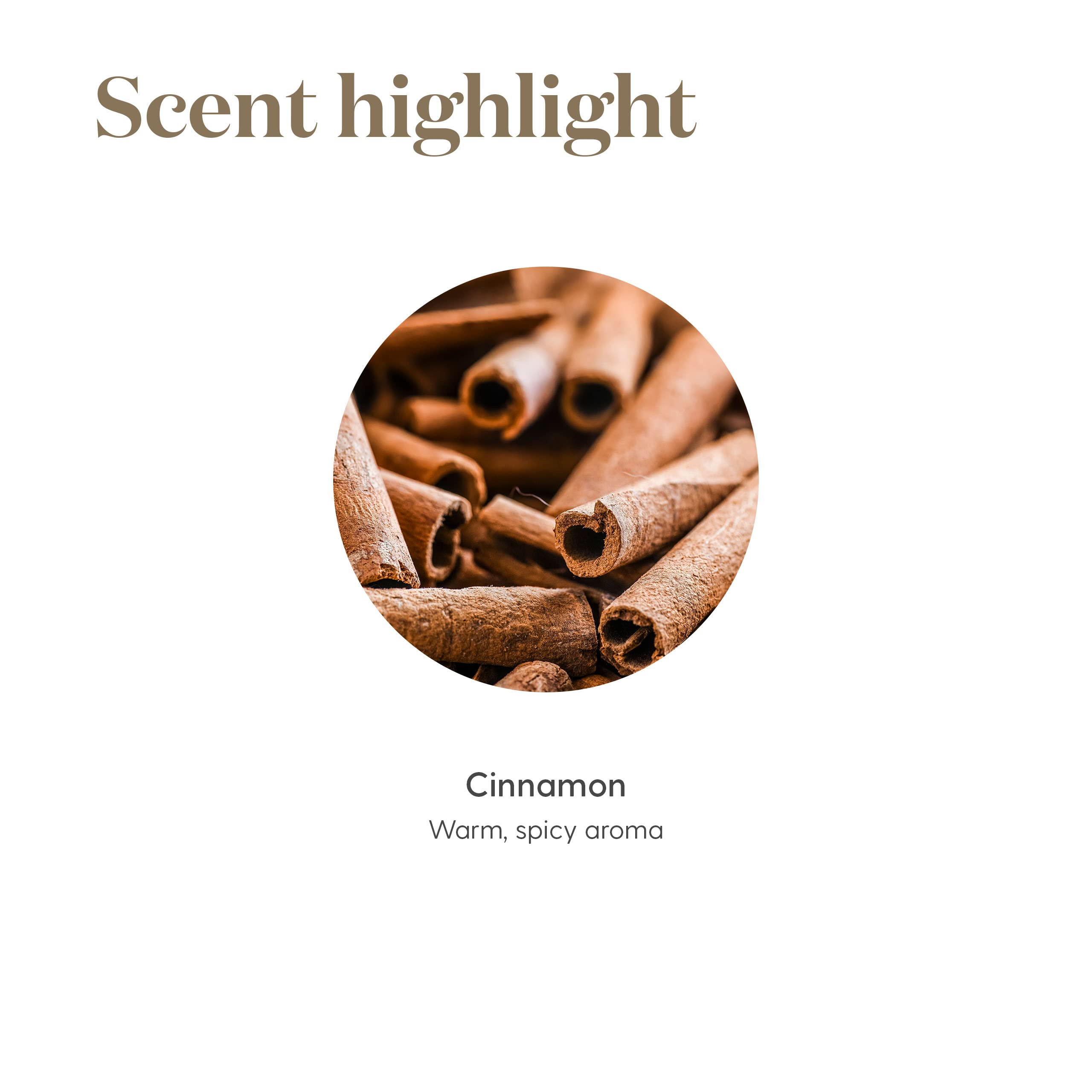 Young Living Cinnamon Bark oil enhances cozy evenings by the fireplace.