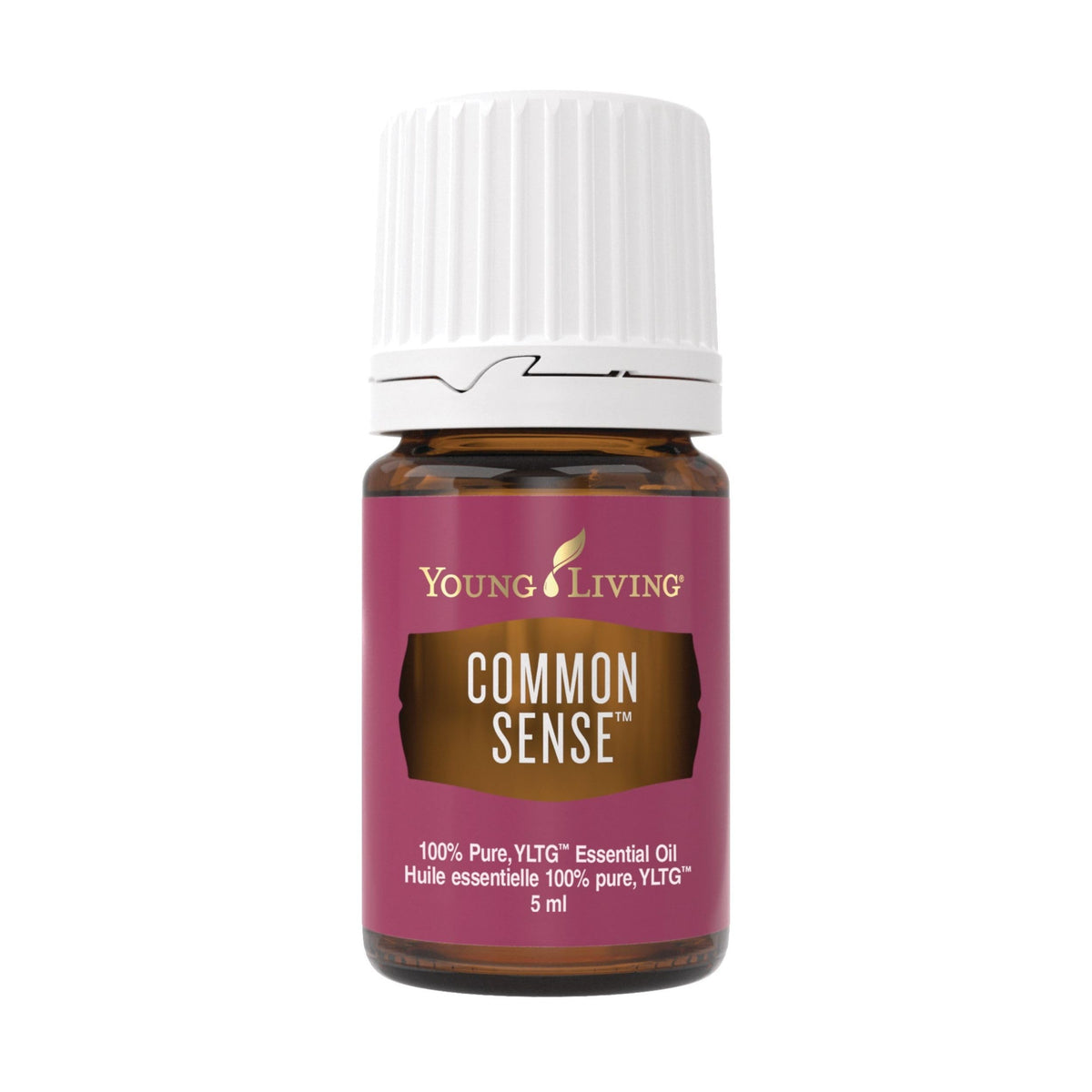 Young Living Common Sense essential oil bottle ready for focused diffusion during meditation