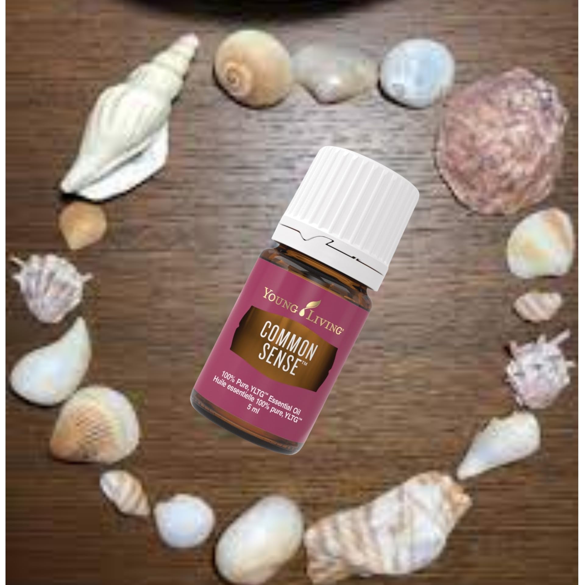 Young Living Common Sense aroma profile image highlighting focus during meditation