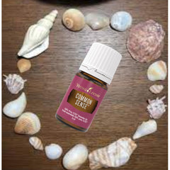Young Living Common Sense aroma profile image highlighting focus during meditation