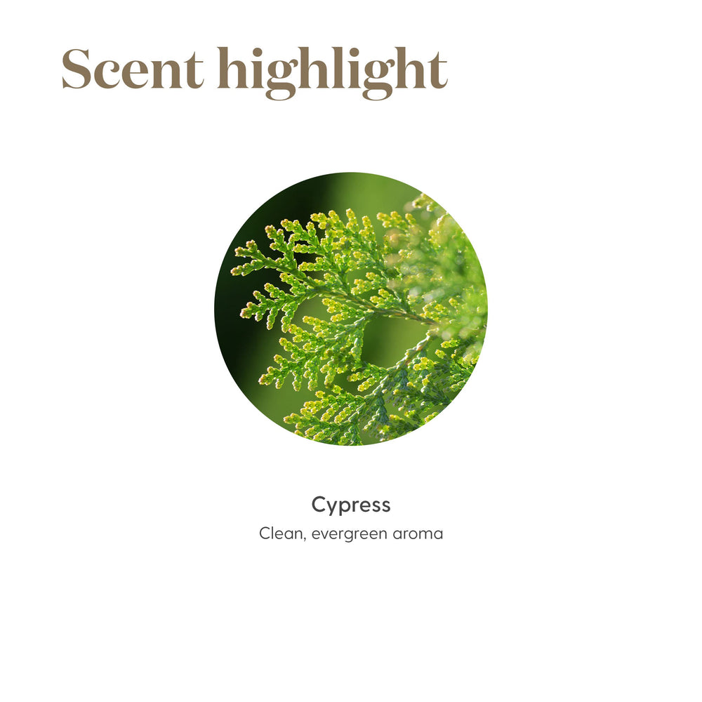 Massage with Cypress oil using a carrier for daily rituals.