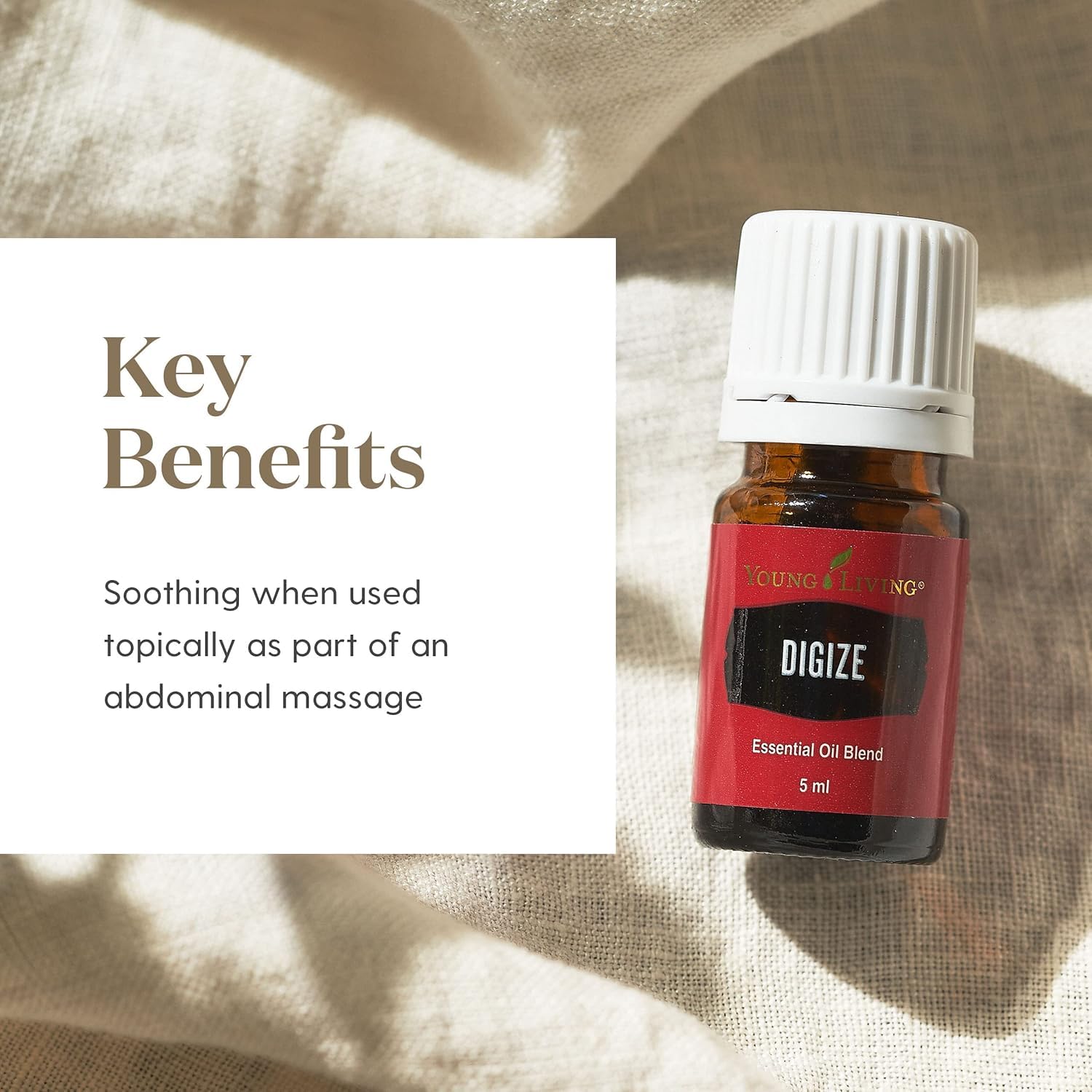 DiGize 15ml bottle on a desk indicating everyday dietary supplement use.