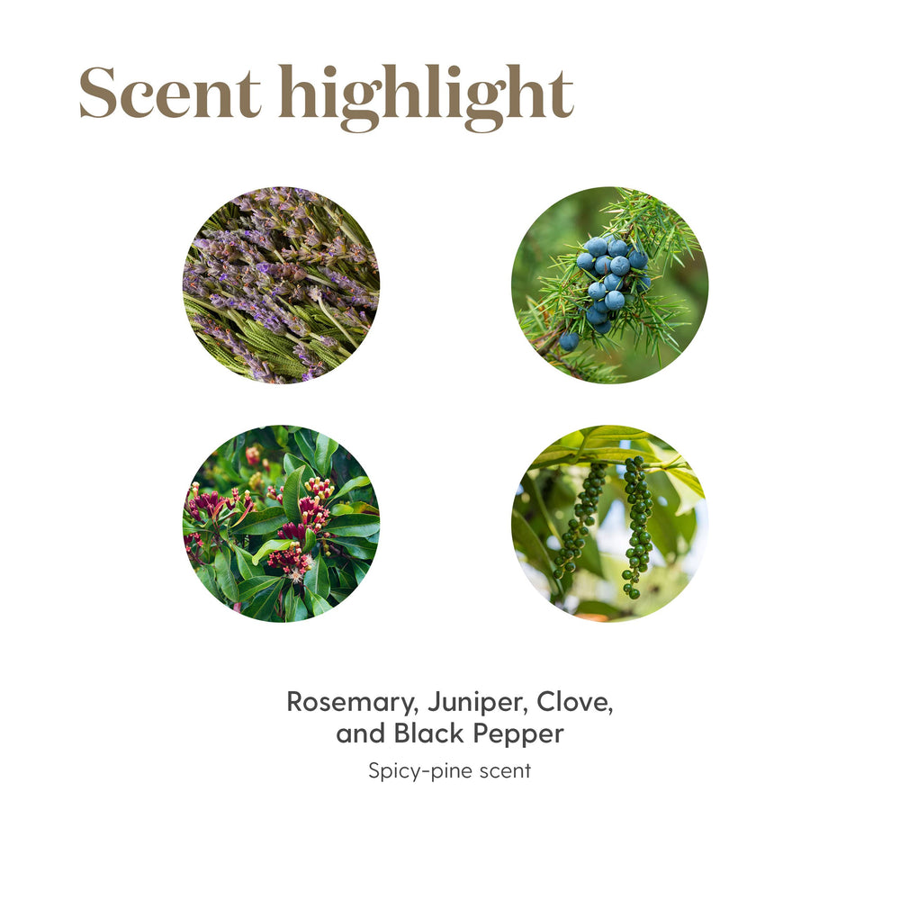 En-R-Gee essential oil blend aroma notes supporting focus during work