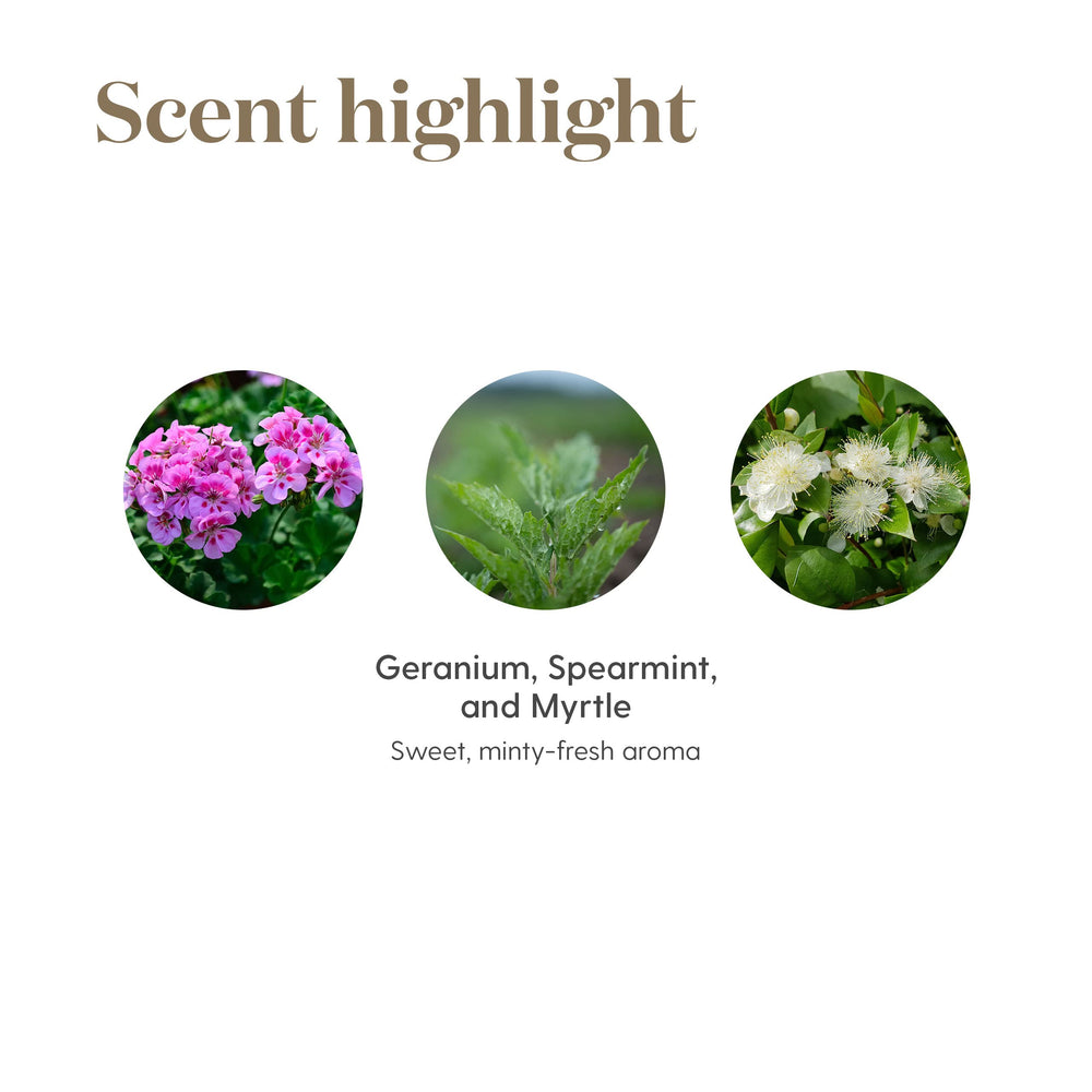 Closeup of Endoflex ingredients including Spearmint and Sage.