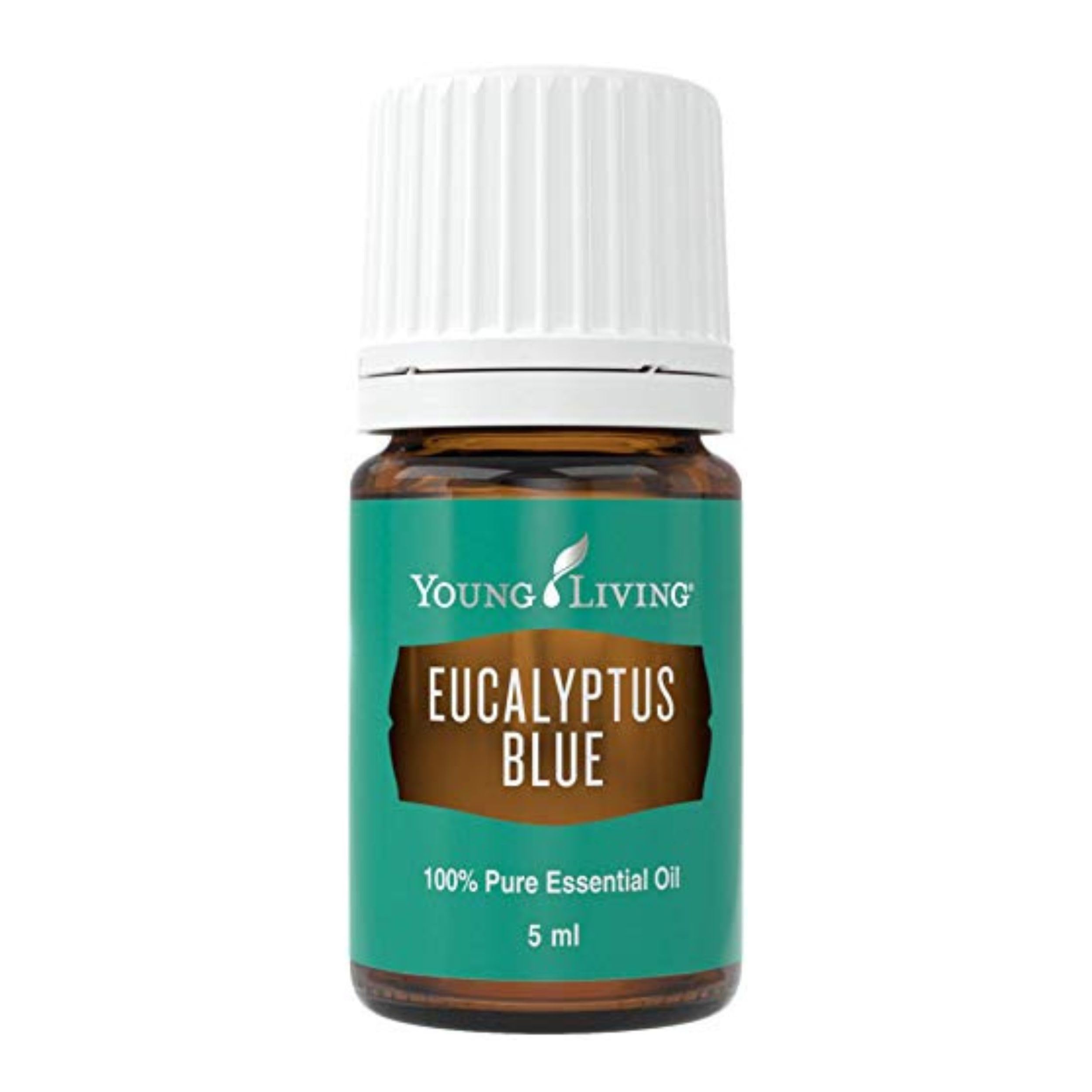 Young Living Eucalyptus Blue 5ml bottle with crisp aroma for refreshing spaces