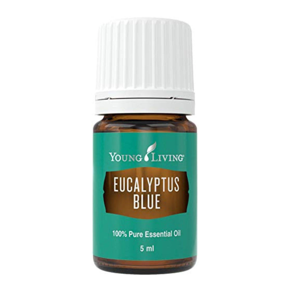 Young Living Eucalyptus Blue 5ml bottle with crisp aroma for refreshing spaces