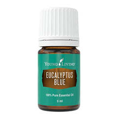 Young Living Eucalyptus Blue 5ml bottle with crisp aroma for refreshing spaces