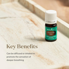 Ambient diffuser with Eucalyptus Blue mist for a refreshed mood