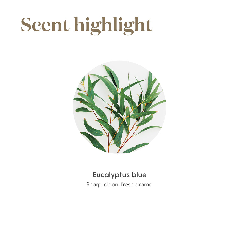 Young Living Eucalyptus Blue topical application with proper dilution guidance