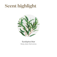 Young Living Eucalyptus Blue topical application with proper dilution guidance